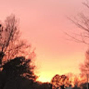 Meet your Posher, Hank